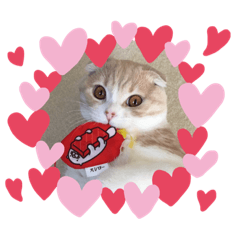 [LINEスタンプ] 権之助スタンプ