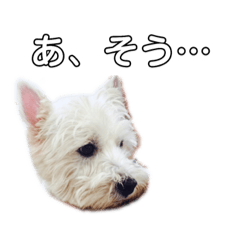 [LINEスタンプ] あめとかかとここ