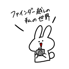 [LINEスタンプ] カメラ大好きうさぎ。