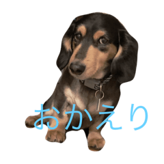 [LINEスタンプ] くうさんの日常 