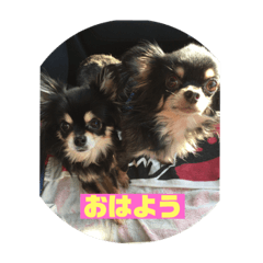 [LINEスタンプ] daiコレ1