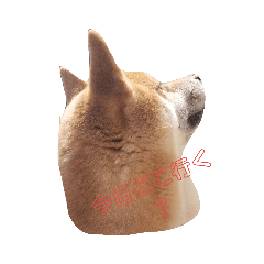 [LINEスタンプ] イッヌスタンプ