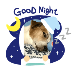 [LINEスタンプ] 癒し犬 ワンワンワン