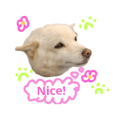 [LINEスタンプ] クールな雑種犬ラブ（英語版）