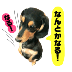 [LINEスタンプ] ナルスタンプ3
