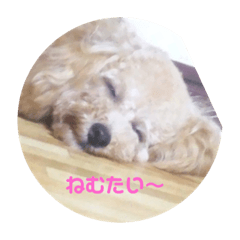 [LINEスタンプ] ワンコやで