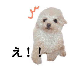 [LINEスタンプ] めるのすたんぷ