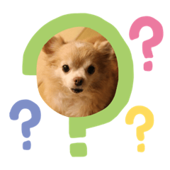 [LINEスタンプ] ロミオとジュリエット