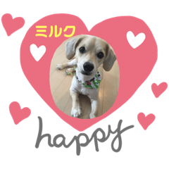 [LINEスタンプ] ミルクちゃんのスタンプ