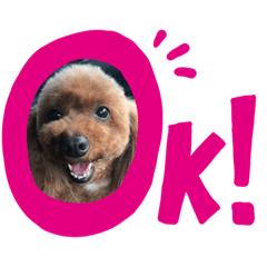 [LINEスタンプ] ®️dog 