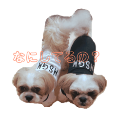 [LINEスタンプ] ぷーちゃんとぽぽちゃん 