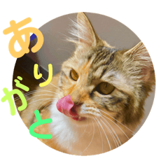 [LINEスタンプ] ぷぷSTAMP 