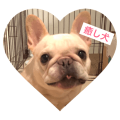 [LINEスタンプ] ワンワン先生 