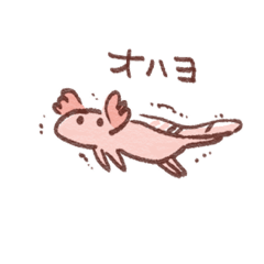 [LINEスタンプ] ウーパールーパーのいる日々 fetchpriority=high