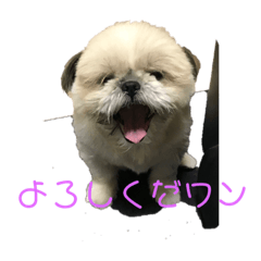 [LINEスタンプ] モッさんスタンプ 