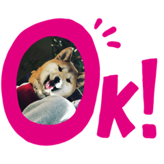 [LINEスタンプ] ぎん  便利スタンプ！ 