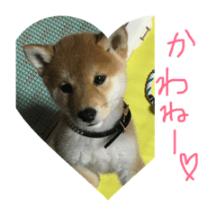 [LINEスタンプ] こてつらぶらぶらぶ 