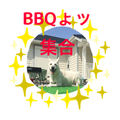[LINEスタンプ] ホワイトジェイのスタンプ