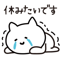 [LINEスタンプ] 泣き笑い猫ノラの画像（メイン）