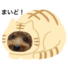 [LINEスタンプ] ゆずトイプー