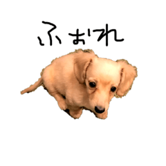 [LINEスタンプ] ウィルのきもち。② 