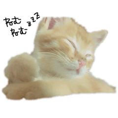 [LINEスタンプ] のびのびちゃーこらん 