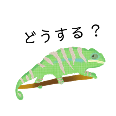 [LINEスタンプ] 動植物たち(日本語バージョン)
