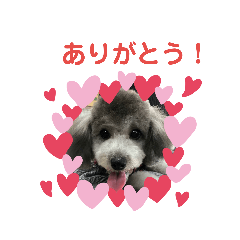 [LINEスタンプ] ミッキィファミリー