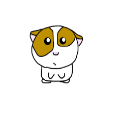 [LINEスタンプ] 赤ちゃんモルモット