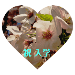 [LINEスタンプ] 花のメッセージ Kz Studio