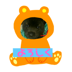 [LINEスタンプ] 甲斐犬のうめスタンプPart3