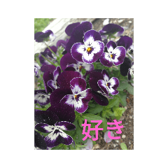 [LINEスタンプ] 散歩スタンプ