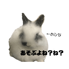 [LINEスタンプ] おひなちゃん専用スタンプの画像（メイン）