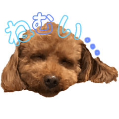 [LINEスタンプ] wish 1