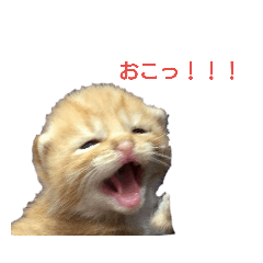 [LINEスタンプ] viviy