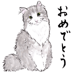 [LINEスタンプ] 愛らしく真面目な猫さん 関西弁日常会話