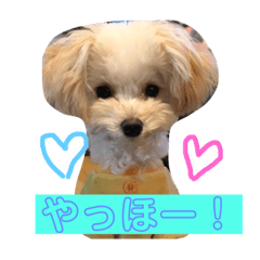 [LINEスタンプ] ミントとモカの仲良しスタンプ‼️