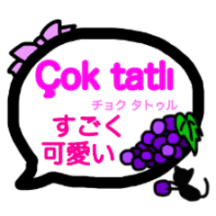 [LINEスタンプ] トルコ語と日本語の吹き出しスタンプ