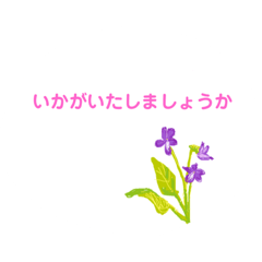 [LINEスタンプ] 春の花でシンプルで上品な言い回し