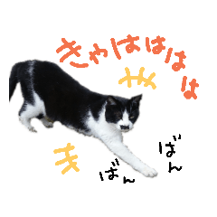 [LINEスタンプ] のらライフ♪(感情編2)