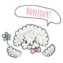 [LINEスタンプ] シルバートイプードルのメルシーちゃん