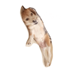 [LINEスタンプ] maron＆koyuki 