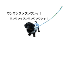 [LINEスタンプ] ミニチュアダックスの太助君と昆布君その6