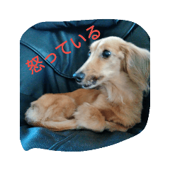 [LINEスタンプ] ティアラスタンプ1 