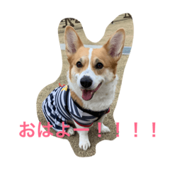 [LINEスタンプ] アンちゃんの1日