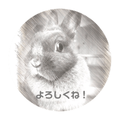 [LINEスタンプ] スケッチうさぎ
