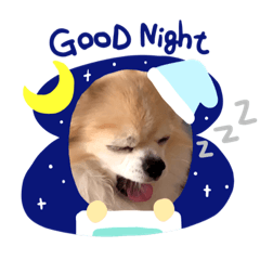 [LINEスタンプ] うちのとりちゃん