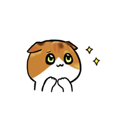 [LINEスタンプ] 猫のわらび 