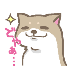 [LINEスタンプ] 表情豊かな柴犬 