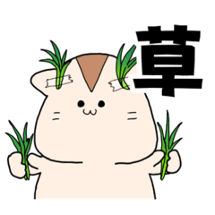 [LINEスタンプ] ゆるハムくーちゃん